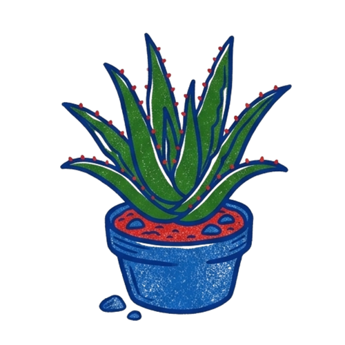 <p>Aloe Vera Juice</p>