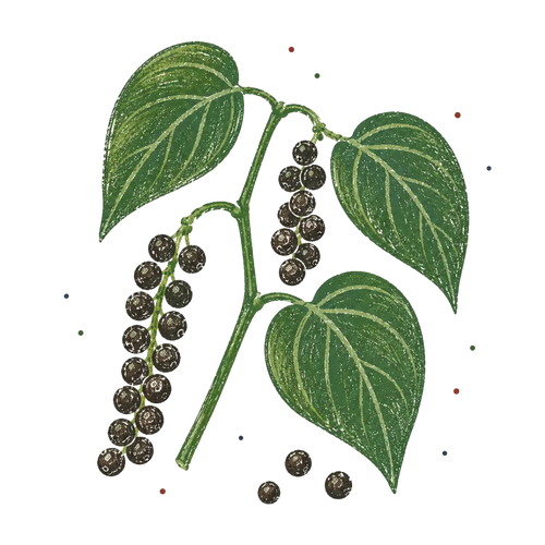 <p>Black Pepper</p>