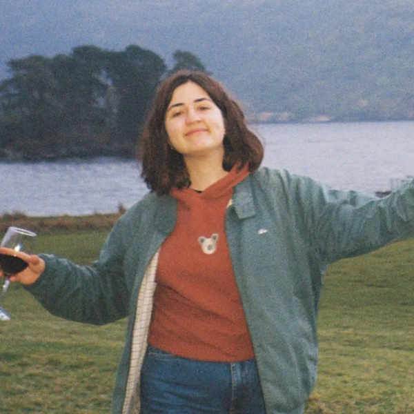 Person standing by a lake with mountains in the background, holding a glass of wine.