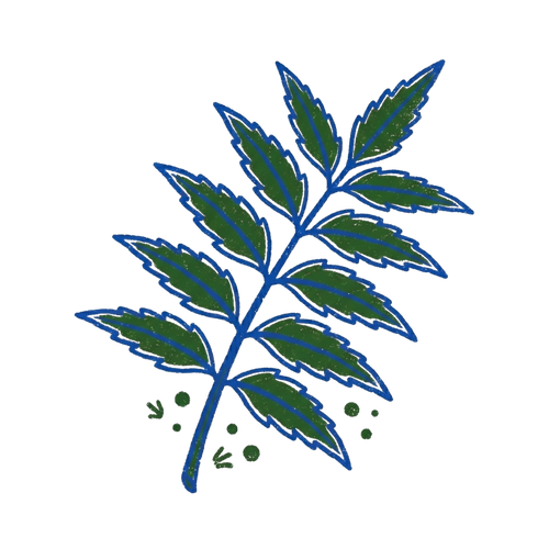 <p>Neem Hydrosol</p>