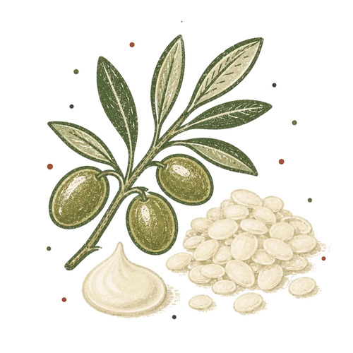 <p>Olivem 1000</p>
