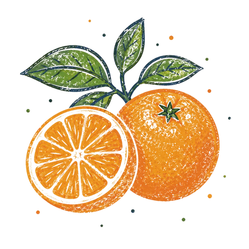 <p>Sweet Orange</p>