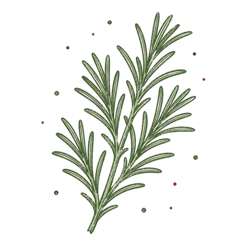 <p>Rosemary</p>