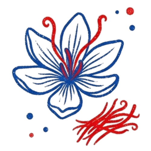 <p>Saffron Extract</p>