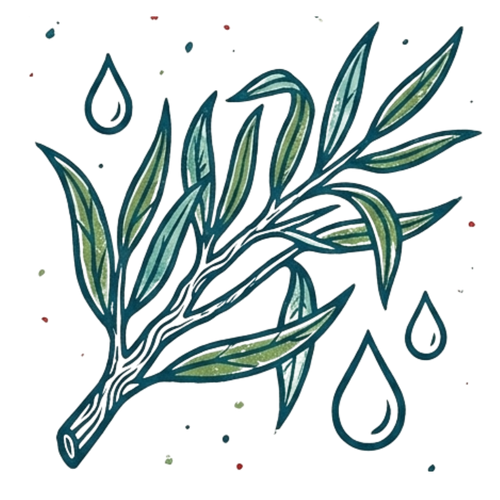 <p>Willow Bark Infusion</p>
